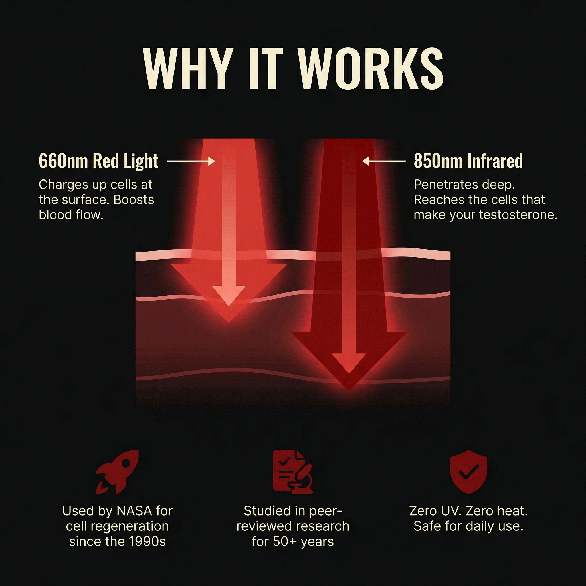 Rawlight Performance Boosting Belt