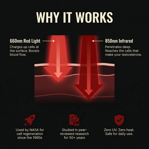 Rawlight Performance Boosting Belt